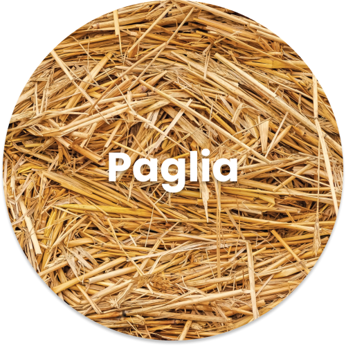 00_paglia