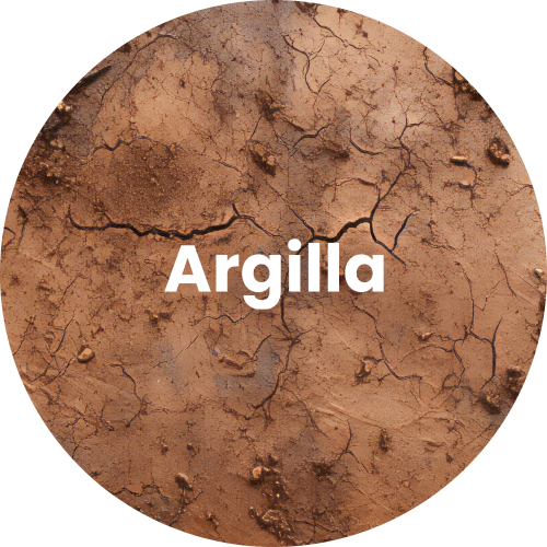 01_argilla