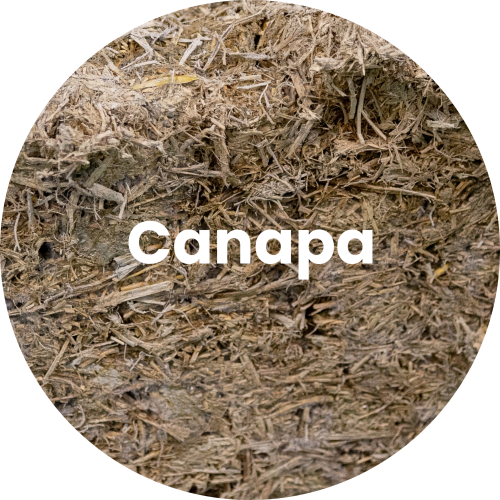 02_canapa